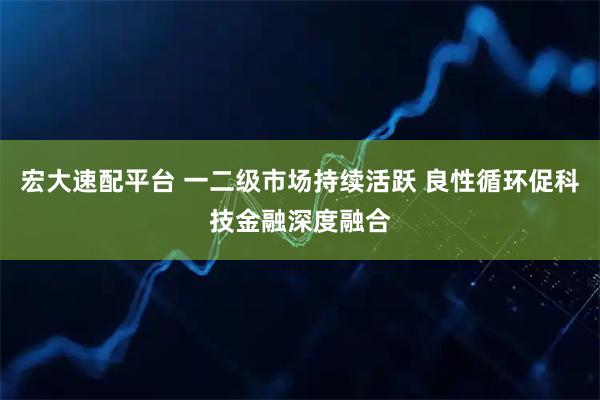 宏大速配平臺 一二級市場持續(xù)活躍 良性循環(huán)促科技金融深度融合