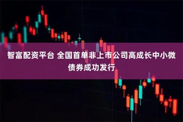 智富配資平臺(tái) 全國(guó)首單非上市公司高成長(zhǎng)中小微債券成功發(fā)行