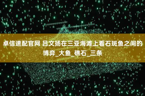 卓信速配官網 呂文揚在三亞海灘上看石斑魚之間的博弈_大魚_礁石_三條